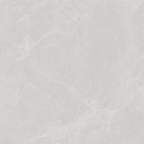 CL609