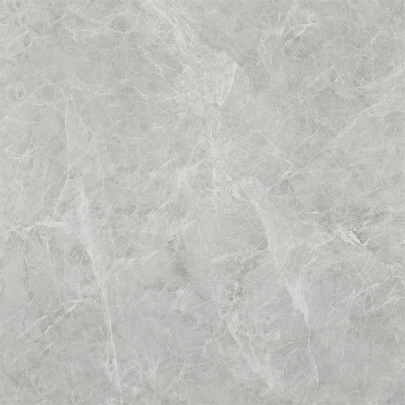 LP8169