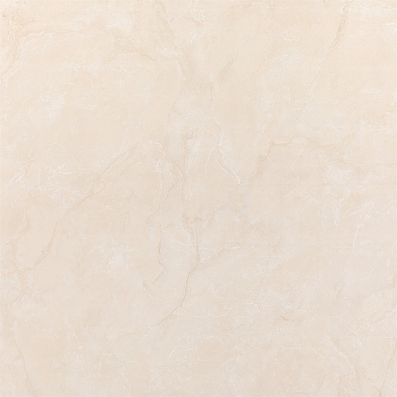CE8296