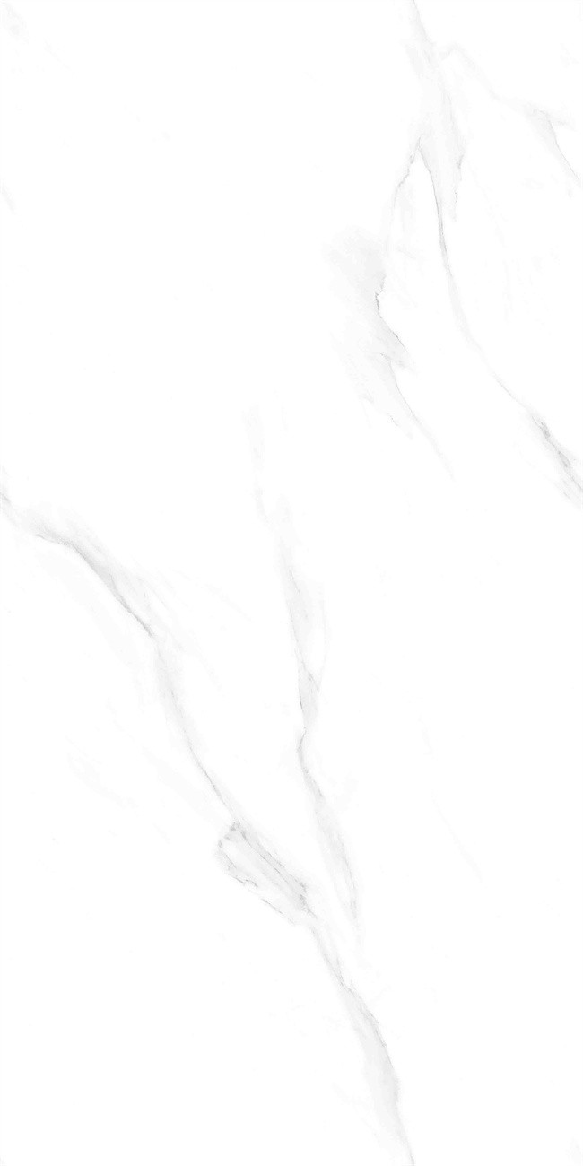 CW12658