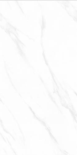 CW12622