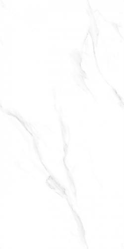 CW12658