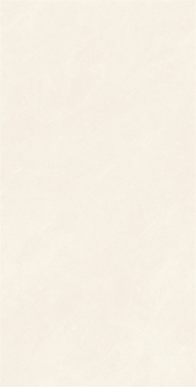 C12123