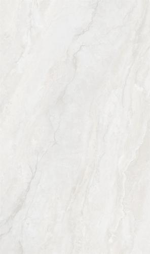 8135CW213