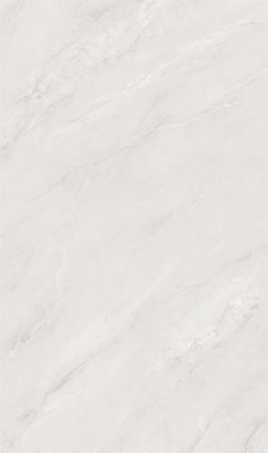 813LW219-2