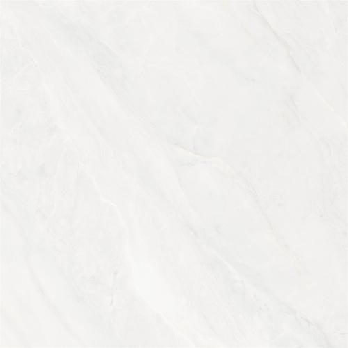 LF8521-2